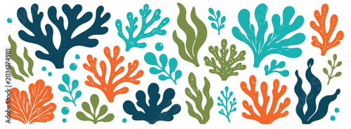 Obraz na plátně Collection of colorful hand drawn sea plants, corals, and algae isolated on white background