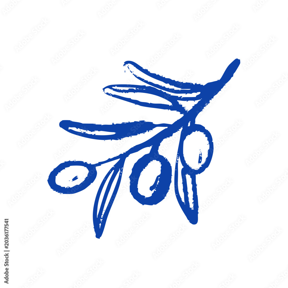 Fototapeta premium Vintage sketch olive branch. Extra virgin, farm product, Mediterranean cuisine, cosmetic, organic farm, packaging label. Crayon hand drawn vector isolated illustration.