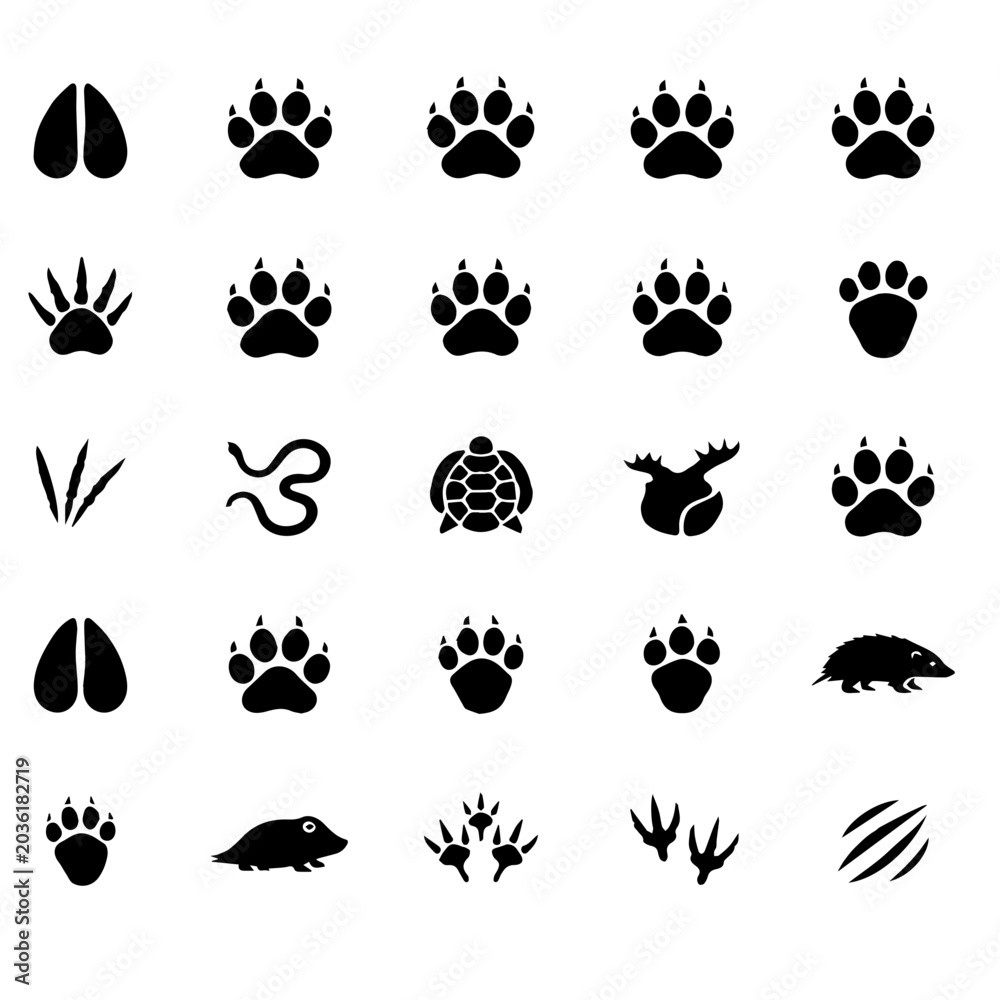 Fototapeta premium Collection of Various Animal Paw and Footprint Icons. A set of black vector icons featuring different animal paws and footprints on a white background
