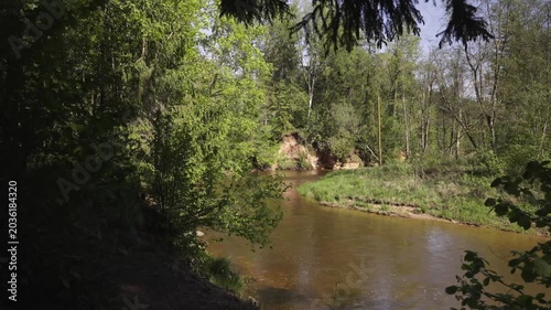 Walk in a real wild forest in spring. The clear water of the spring flows by the rock. Fir trees and moss grow on the red sandy rock. National park of Latvia. 