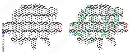 Maze challenge with answers displayed in complex pattern design  