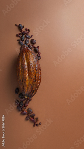 Cocoa bean on a light beige background