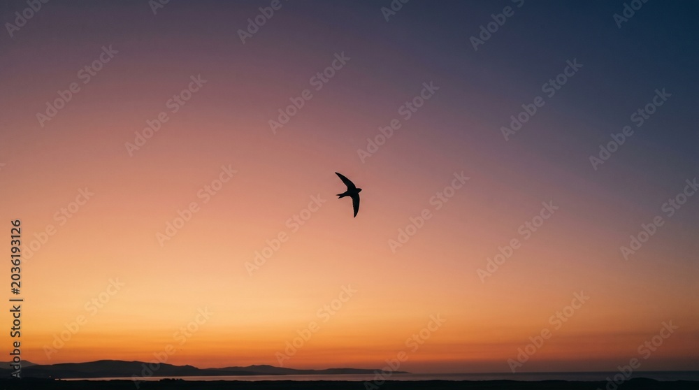 Fototapeta premium Bird flying across sunset sky