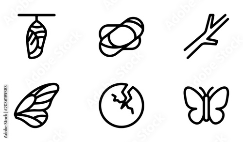 Canvastavla Butterfly Life Cycle Icons, Metamorphosis Stages Vector Set, Insect Transformati