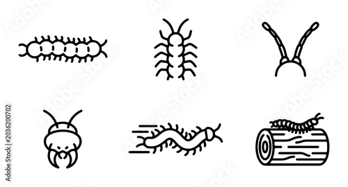 Foto Insect Icons: Centipede, Millipede, Antennae, and Larva Line Art Vector Set