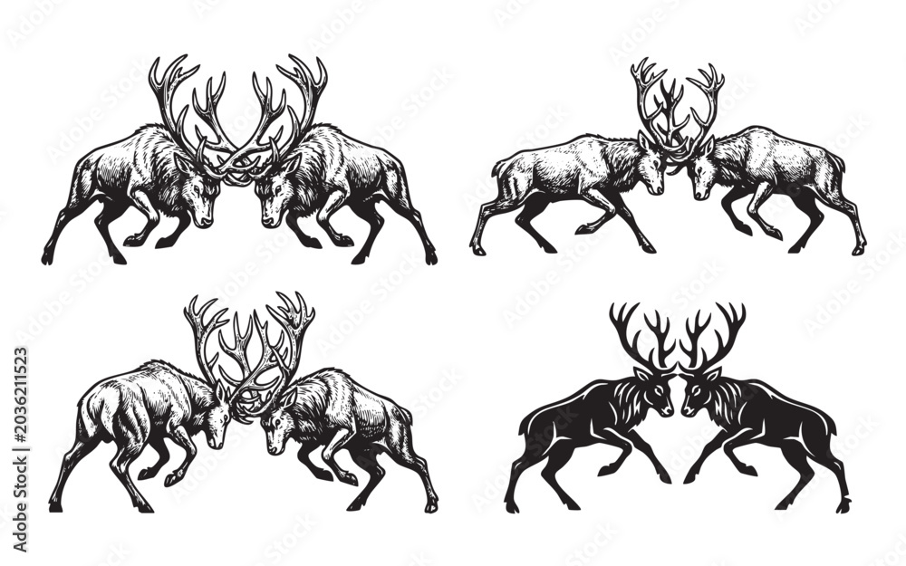 Obraz premium Set of 4 black and white vector illustrations of two male deer fighting with their antlers. Vintage engraved style, perfect for hunting logos.