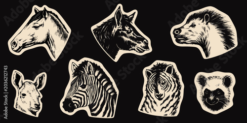 Photography Animal Head Illustrations Vintage style Vector Graphics On Black Background