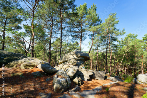 Denecourt path 8 in the Aigu mound. Fontainebleau forest