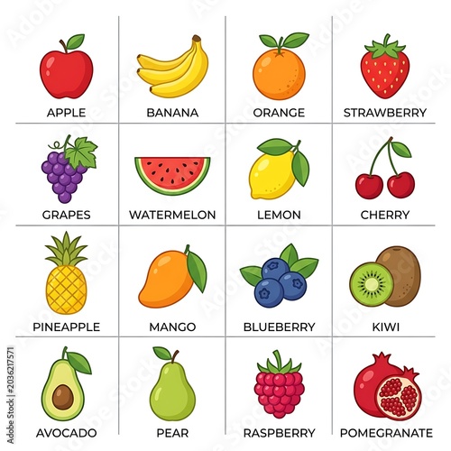 Colorful fresh fruits illustration set isolated on white.