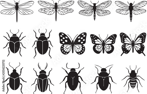 Black and white insect and butterfly vector illustrations set Vector