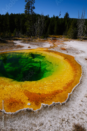 Canvastavla Vivid colors of Morning Glory Pool in Yellowstone National Park, showcasing crystal-clear geothermal waters, vibrant mineral textures, and the untouched beauty of America’s wild landscape