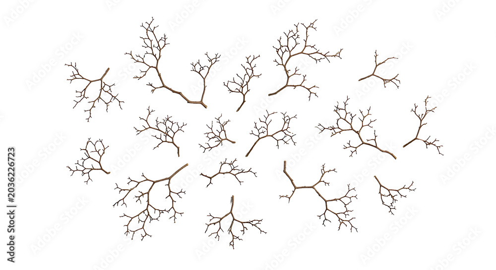 Obraz premium A collection of delicate, bare tree branches scattered across a white background, suggesting a winter or dormant season.