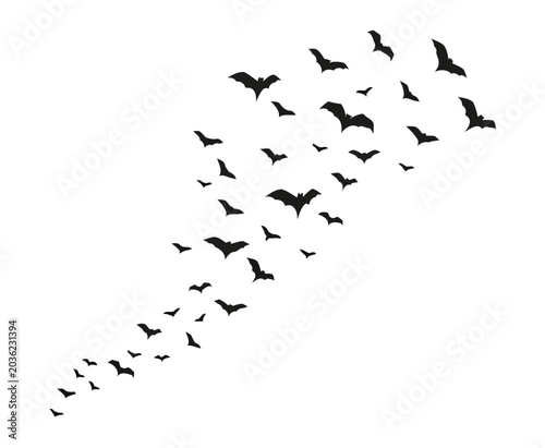 Swarm of Bats Flying in Formation, Silhouette for Halloween