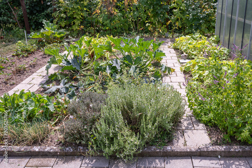 Herb and vegetable garden in a German allotment garden