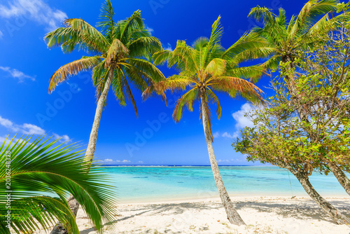 Fotografija Rarotonga, Cook Islands. Beach with palm trees at Muri lagoon.