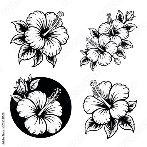 Black and white line of daisies with detailed petals and centers