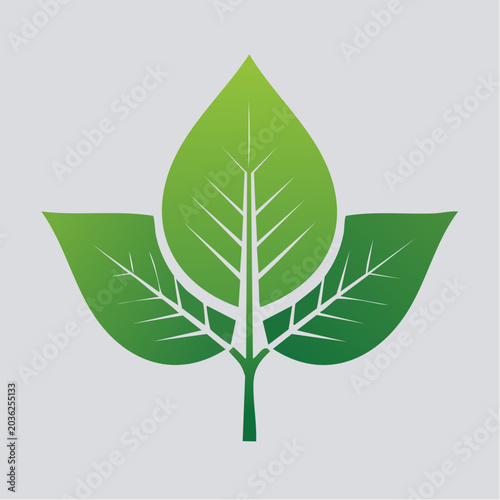 Green Leaf Logo Design