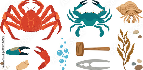 Photos Collection of crab and seafood vector illustrations featuring marine crustaceans