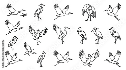 Minimalist crane bird line art collection, 18 heron and stork vector icons, elegant flying and standing bird silhouettes for logo design