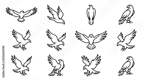Foto Minimalist eagle line art icons, set of 12 flying hawk and falcon vector illustr