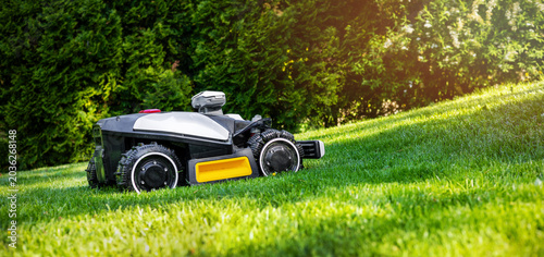Robotic lawn mower working at garden cutting lush green grass. Automated lawn care