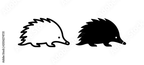 Minimalist echidna vector icons, black silhouette and outline animal set