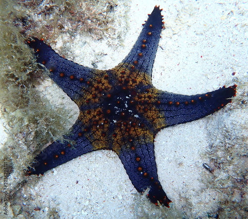 Philippines