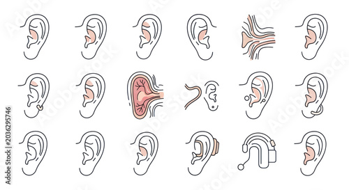Valokuva Human Ear Anatomy Illustrations: External, Internal, and Hearing Aid Concepts