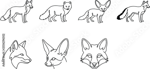 Foto Fox Line Art Collection with Red Fox, Arctic Fox, Fennec Fox Full Body and Face
