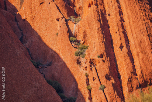 Slika na platnu Australian outback landscape, red centre, desert