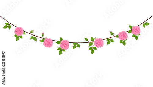 Isolated string of pink roses and green leaves, rose garland, floral decoration, garden party and summer celebration motif