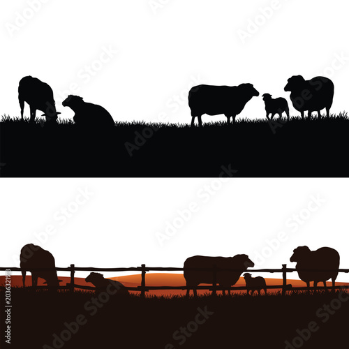 flock of domestic sheep grazing in the grass field behind wooden fence - livestock farm vector detailed silhouette idyllic countryside outdoors scene