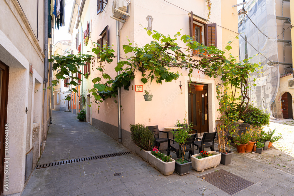Obraz premium A narrow cobblestone alleyway is lined with buildings adorned with lush greenery in Piran, Slovenia