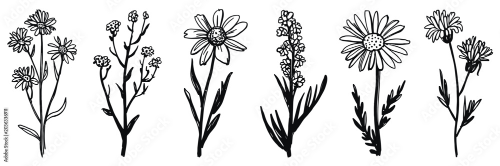 Obraz premium Contemporary Abstract Minimal Tattoo Flower Set with Ink Grunge Hand Drawn Wild Flowers in Charcoal Crayon and Pencil Sketch Style