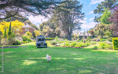 summer green lavender farm in Jersey, UK