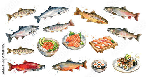 Hand drawn salmon seafood collection featuring sushi, sashimi, grilled fillets, roe, traditional Japanese cuisine illustration.