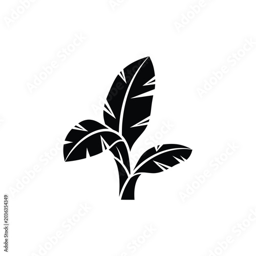 Minimalist Black Banana Leaf Silhouette Icon - Tropical Exotic Plant Foliage Illustration Isolated on White