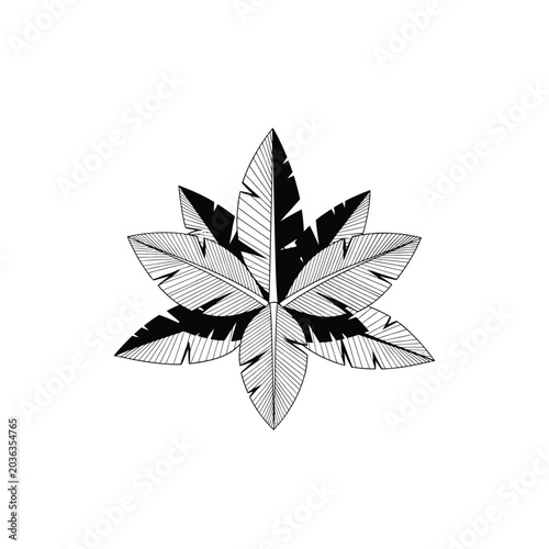 Minimalist Banana Leaf Star Illustration - Symmetrical Tropical Botanical Icon in Black and White