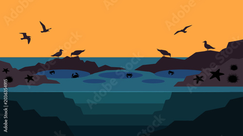 Warm evening sky over tranquil ocean waters with soaring birds above rocky coastal outcrops