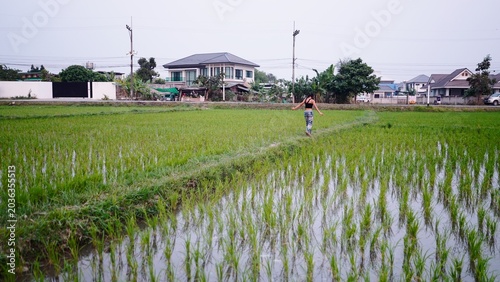 Foto Woman walking through vibrant green thailand rice field, blending nature with ru