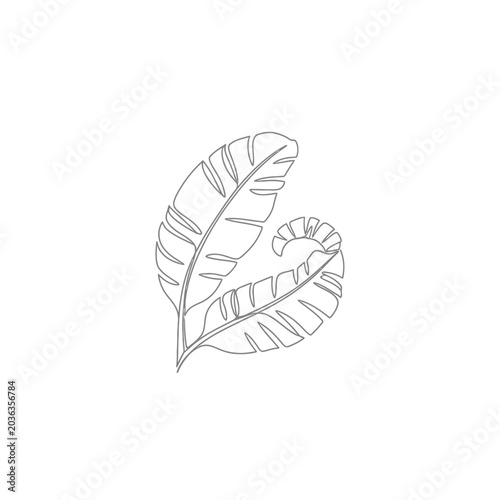 Minimalist One Line Drawing of Tropical Banana Leaves - Continuous Line Art Illustration of Exotic Foliage for Modern Design