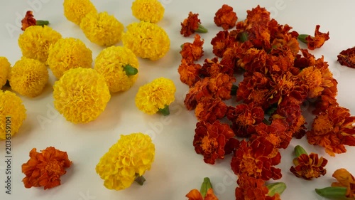 Marigold flowers on white table. Selective focus.