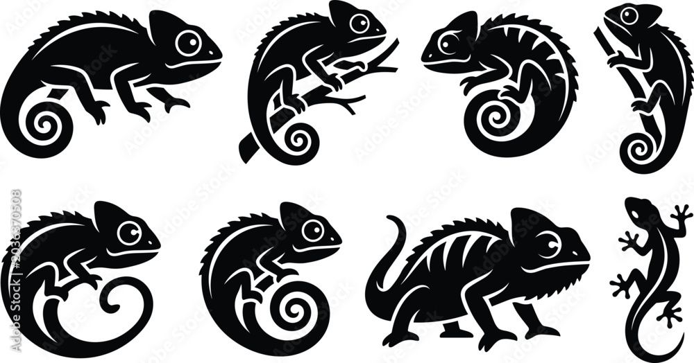 Fototapeta Vector set of exotic chameleon silhouettes with curled tails climbing branches for wildlife logos tattoos stickers and vinyl decal designs.