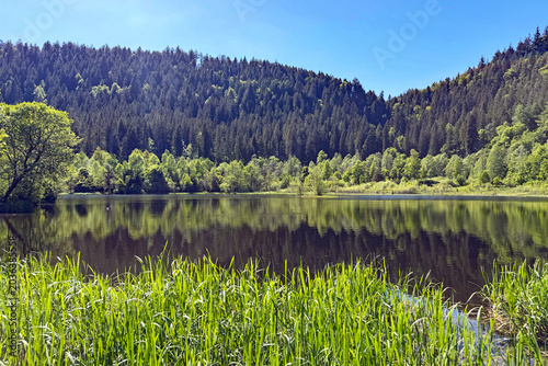 Sankenbach See