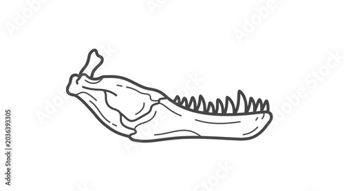 Εκτύπωση καμβά Detailed Illustration of a Dinosaur Jawbone with Sharp Teeth.