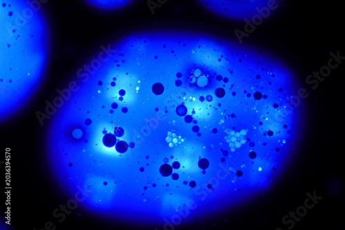 Εκτύπωση καμβά Photomicrograph seen under a microscope