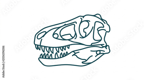 Photography Dinosaur Skull Illustration Line Art White Background.