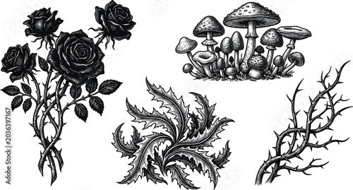 Tableau sur toile Dark Gothic Botanical Illustration Set with Thorny Rose Flowers Poisonous Mushro