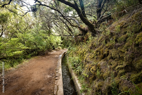 Levadas trail walk in the mountains of Madeira, Portugal