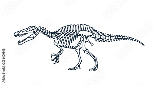 Fotografi Dinosaur Skeleton Illustration Isolated on White Background.